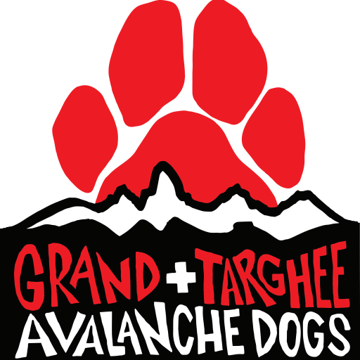 GTK9 Avalanche Dogs